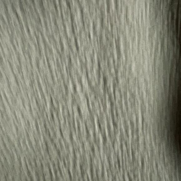 Everlane ReNew Teddy Bomber Jacket Womens S Army Green Sustainable Hiking - Picture 6 of 8